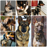 Tactical Dog Collar Leash