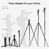SmallRig FreeBlazer 73" Video Tripod for Vertical/Horizontal Shooting, Monopod Conversion, Rotatable QR Plate, for Camcorder, Mirrorless, DSLR, with Carry Bag, Load up to 11 lbs/5 kg - 4307