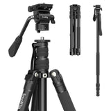 SmallRig FreeBlazer 73" Video Tripod for Vertical/Horizontal Shooting, Monopod Conversion, Rotatable QR Plate, for Camcorder, Mirrorless, DSLR, with Carry Bag, Load up to 11 lbs/5 kg - 4307