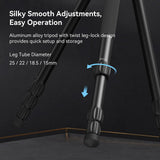 SmallRig FreeBlazer 73" Video Tripod for Vertical/Horizontal Shooting, Monopod Conversion, Rotatable QR Plate, for Camcorder, Mirrorless, DSLR, with Carry Bag, Load up to 11 lbs/5 kg - 4307
