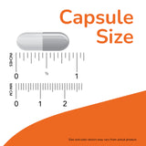 NOW Supplements, Saccharomyces Boulardii, 5 Billion CFU Probiotic, 60 Veg Capsules 🍁 All In One Marketplace Canada