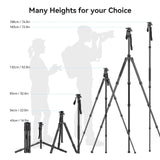 SmallRig FreeBlazer 73" Video Tripod for Vertical/Horizontal Shooting, Monopod Conversion, Rotatable QR Plate, for Camcorder, Mirrorless, DSLR, with Carry Bag, Load up to 11 lbs/5 kg - 4307