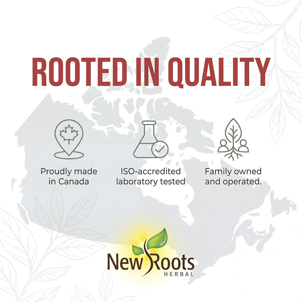 New Roots Herbal Plant Sterols Supplement Powder, 80 g, 66 Servings | Plant Sterol Powder, Cholesterol Support, Blends Into Meals, No Non-Medicinal Ingredients, 1.2g per 1/2 tsp, Canada-Made – view 8