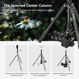 SmallRig FreeBlazer 73" Video Tripod for Vertical/Horizontal Shooting, Monopod Conversion, Rotatable QR Plate, for Camcorder, Mirrorless, DSLR, with Carry Bag, Load up to 11 lbs/5 kg - 4307