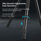 SmallRig FreeBlazer 73" Video Tripod for Vertical/Horizontal Shooting, Monopod Conversion, Rotatable QR Plate, for Camcorder, Mirrorless, DSLR, with Carry Bag, Load up to 11 lbs/5 kg - 4307