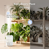 Levoit Humidifiers for Bedroom, Top Fill, Quiet, Knob Control, 360° Nozzle | Cool Mist Air Humidifier for Home, Baby Nursery & Plants, Auto Shut-off for Safety, 25H Lasting, BPA Free