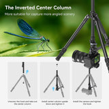 SmallRig FreeBlazer 73" Video Tripod for Vertical/Horizontal Shooting, Monopod Conversion, Rotatable QR Plate, for Camcorder, Mirrorless, DSLR, with Carry Bag, Load up to 11 lbs/5 kg - 4307