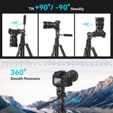 SmallRig FreeBlazer 73" Video Tripod for Vertical/Horizontal Shooting, Monopod Conversion, Rotatable QR Plate, for Camcorder, Mirrorless, DSLR, with Carry Bag, Load up to 11 lbs/5 kg - 4307