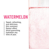 BioSteel Electrolyte Hydration Mix, Watermelon, 20 Servings 🍁 All In One Marketplace Canada