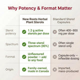 New Roots Herbal Plant Sterols Supplement Powder, 80 g, 66 Servings | Plant Sterol Powder, Cholesterol Support, Blends Into Meals, No Non-Medicinal Ingredients, 1.2g per 1/2 tsp, Canada-Made
