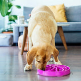 Outward Hound Fun Feeder Slo Bowl, Flower Pattern, Purple, Large, 11.8" | Slows Fast Eaters, Can Aid Digestion, Holds 4 Cups Dry or Wet Food, Non-Slip Base, Easy Clean, No BPA, Medium to Large Dogs