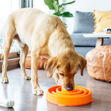Outward Hound Fun Feeder Slo Bowl, Flower Pattern, Purple, Large, 11.8" | Slows Fast Eaters, Can Aid Digestion, Holds 4 Cups Dry or Wet Food, Non-Slip Base, Easy Clean, No BPA, Medium to Large Dogs