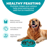 Outward Hound Fun Feeder Slo Bowl, Flower Pattern, Purple, Large, 11.8" | Slows Fast Eaters, Can Aid Digestion, Holds 4 Cups Dry or Wet Food, Non-Slip Base, Easy Clean, No BPA, Medium to Large Dogs