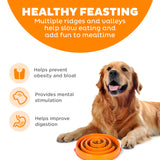 Outward Hound Fun Feeder Slo Bowl, Flower Pattern, Purple, Large, 11.8" | Slows Fast Eaters, Can Aid Digestion, Holds 4 Cups Dry or Wet Food, Non-Slip Base, Easy Clean, No BPA, Medium to Large Dogs