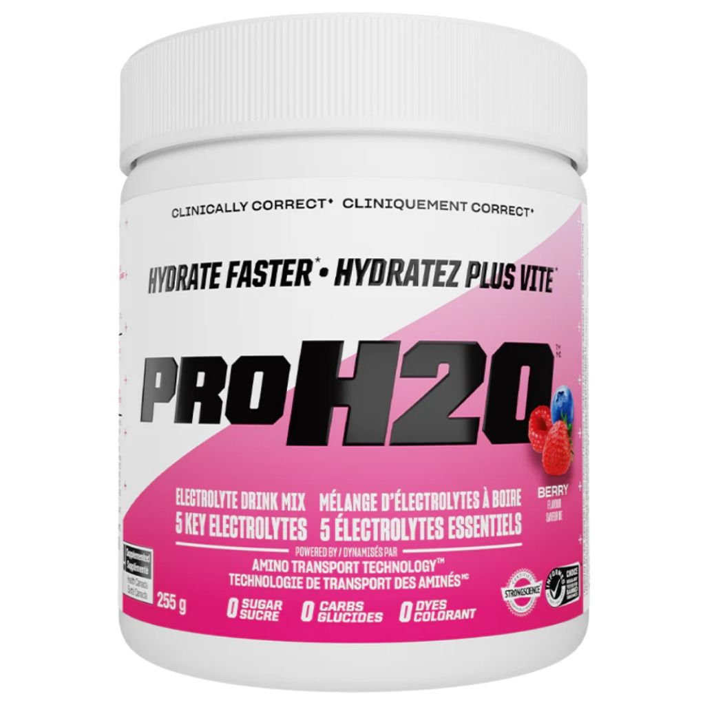PVL PROH2O HYDRATION MIX, 255g – view 2