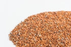 Code Green Micro Farms Microgreen Seed Packs